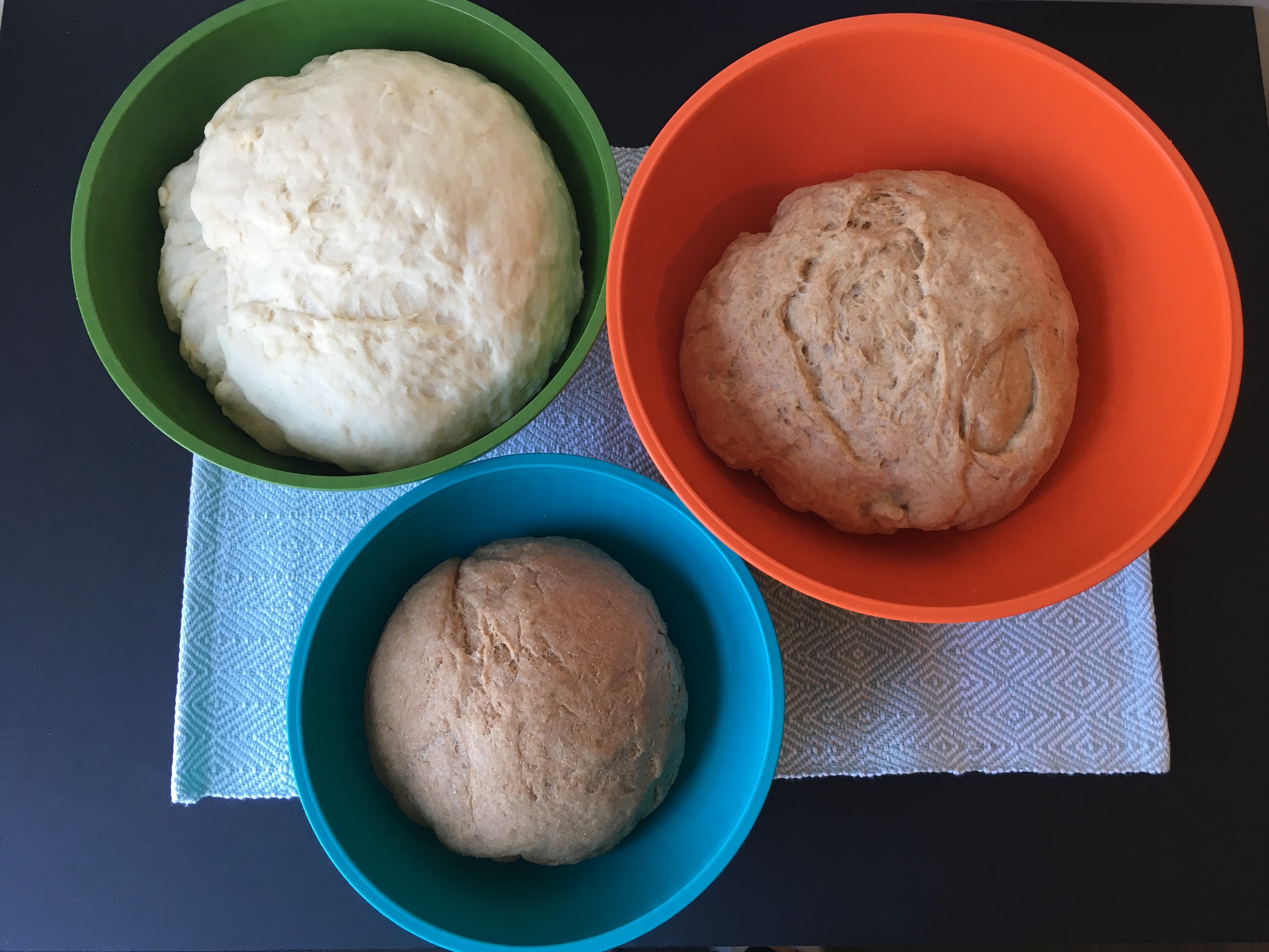 Loaf Bread Color Guide Loaf vs Loaf: Experimenting with bread flour and whole-wheat ratios in ...